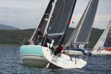 free bird gbr5190l whyw24 mon 800 5578